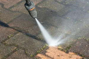 Pressure Washing {area}